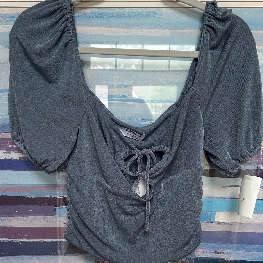 Sophie Rue Slate Blue Ruched Blouse